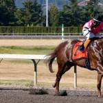 Sippin Fire heads nine in $50,000 Seattle Slew