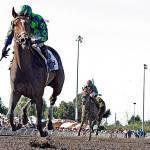 Princess of the Nyl Dominates $50,000 Washington Oaks