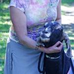 Patricia Cosgrove and one of the voracious, vegetation-chomping goats White River Valley Museum has used to clear away brush at Mary Olson Farm. COURTESY PHOTO