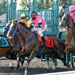 It’s Derby Day Sunday; four stakes winners head strong field