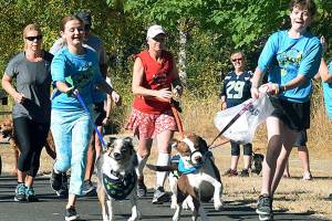 Barkfest & Rover Romp returns to the park on Aug. 25