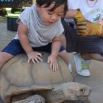 Auburn-area community calendar | Aug. 3