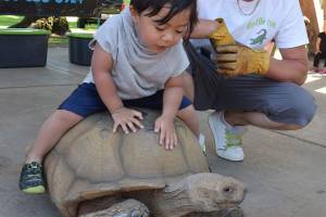 Auburn-area community calendar | Aug. 3