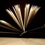 Auburn School District Board appoints new director