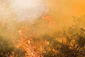 Wildfire smoke spreads into Auburn, Puget Sound region