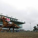 Sippin Fire, with Rocco Bowen up, streaks to victory in the $50,000 Washington Cup Sophomore Stakes for 3-year-old colts and geldings at Emerald Downs on Sunday. COURTESY TRACK PHOTO