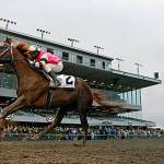 Sippin Fire is simply super; gelding continues roll in Washington Cup