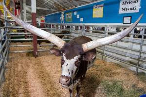 Auburn-area community calendar | Aug. 30