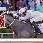 Fuzzy Dolphin goes gate to wire to capture Washington Cup Juvenile