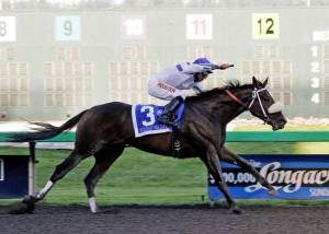 Mike Mans Gold winning the 2014 Muckleshoot Tribal Classic. COURTESY TRACK PHOTO