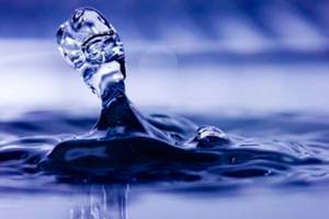 Move forward on water quality standards