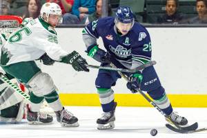 Seattles Nolan Volcan battles Everett for the puck during WHL preseason play this season. COURTESY PHOTO, Brian Liesse, T-Birds