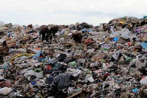 What’s really going on at King County Solid Waste?