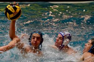 Ravens pull away from Lions | Boys water polo