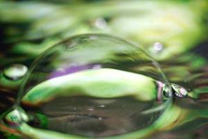 Auburn facility fined for ongoing dangerous waste violations