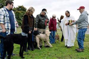 Blessing of the Animals