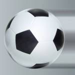 Girls Athlete of the Week: Lions’ Lexie Koester