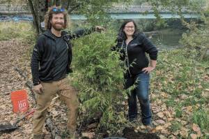 Salmon recovery projects underway in area watersheds