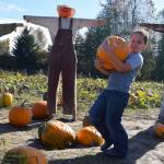 RACHEL CIAMPI, Auburn Reporter