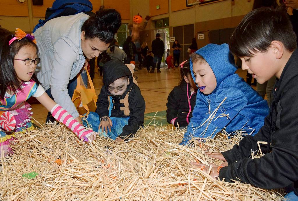 Kids hunt for sweets in the Candy In The Hay game. RACHEL CIAMPI, Auburn Reporter