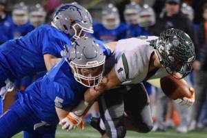 Lions’ season ends with loss to Mount Vernon