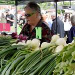Sales and reviews were good this season at Les Gove Park, the new spot for the Auburn International Farmers Market. RACHEL CIAMPI, Auburn Reporter