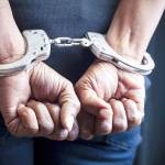 Two Auburn men among 29 arrested in drug busts