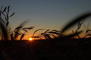 City studies possible annexation of ‘islands’