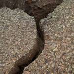 Earthquake cracks in lava, lichen on top. Photo courtesy of The Herald