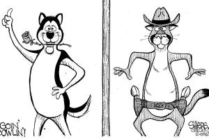 Dawgs, Cougs get ready for their bowl battles