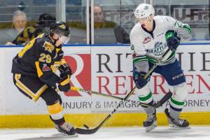 The Thunderbirds Samuel Huo, right, advances the puck against the Wheat Kings. COURTESY PHOTO, Brian Liesse, T-Birds