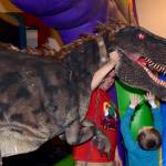 RACHEL CIAMPI, Auburn Reporter