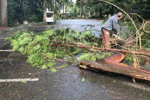 PSE working to restore power to area residents following fierce windstorm