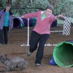 With Sandra Katzen observing, Cathy Percy instructs Ketch, her cocker spaniel, to clear the next obstacle during training at the Vortex Agility and Dog Training arena on Kents East Hill. MARK KLAAS, Auburn Reporter