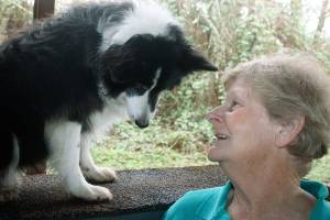 Auburn woman blazes a trail for dogs