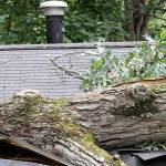 Windstorm to join snowstorm this weekend in Auburn