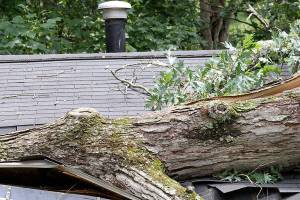 Windstorm to join snowstorm this weekend in Auburn