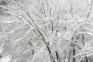 Auburn could get 6 inches of snow | Updated chart