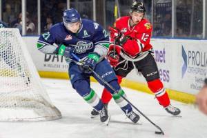 The Thunderbirds Matthew Wedman controls the puck in front of the Winterhawks Reece Newkirk during WHL play. COURTESY PHOTO, Brian Liesse, T-Birds