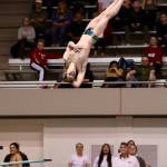 COURTESY PHOTO, Tracy Arnold