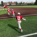 Infield of main ballfield at Brannan Park to get synthetic turf