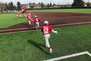Infield of main ballfield at Brannan Park to get synthetic turf