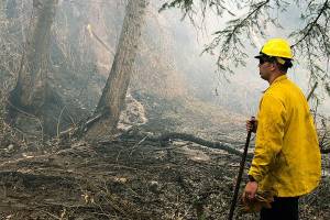 VRFA crews douse brush fire