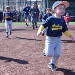 Little League players run onto the field for the opening day ceremony at the Auburn High School Ballfields last Saturday. RACHEL CIAMPI, Auburn Reporter