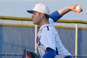 Lions roar into district playoffs