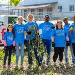 Volunteers helped clear debris and blackberry bushes along the fence line at the Auburn Valley YMCA during Comcast Cares Day. COURTESY PHOTO, Comcast