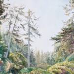 Museum to present paintings, drawings from artist in residence