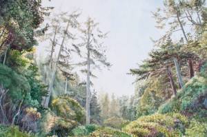 Museum to present paintings, drawings from artist in residence