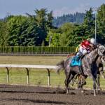 Ima Happy Cat blazes to victory in $50,000 Hastings Stakes