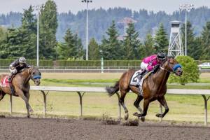 Anyportinastorm, with Juan Hernandez up, romps to victory in the $50,000 Governors Stakes for 3-year-olds and up at Emerald Downs on Sunday. COURTESY TRACK PHOTO